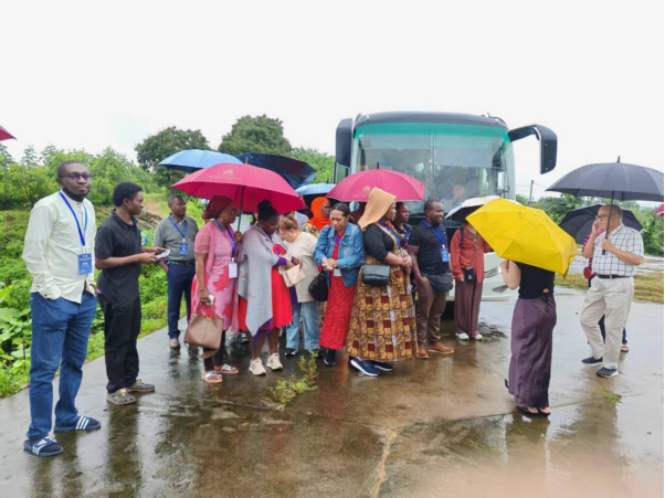 1753676704483 640 (1)