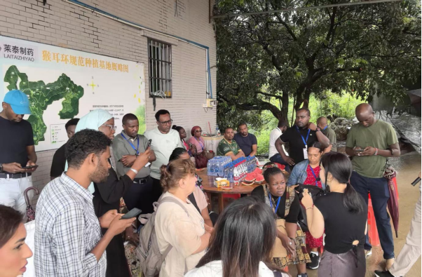 1753676823199 640 (3)