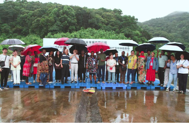 1753676849091 640 (5)